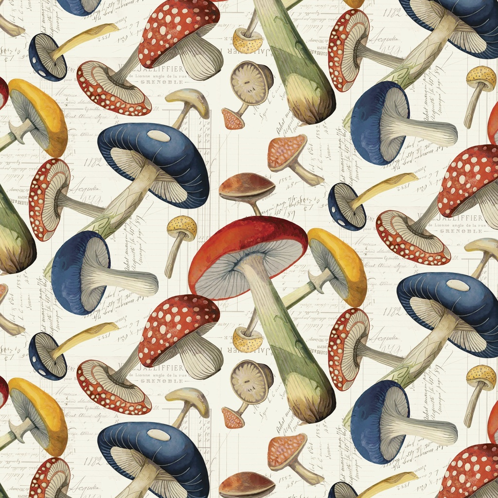 [W150-015-157] W150-015-157 / Packed Mushrooms - Multi