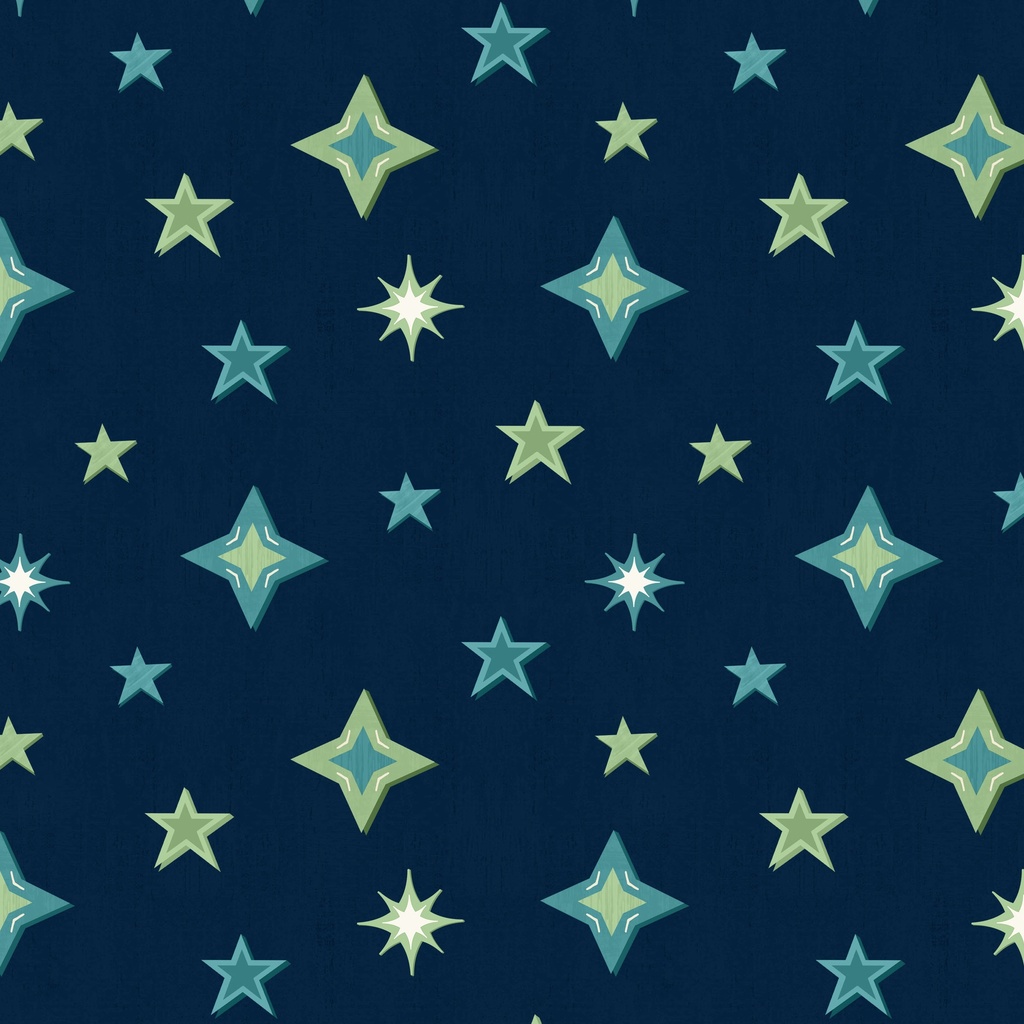 T115-012-778 / Large Stars - Navy