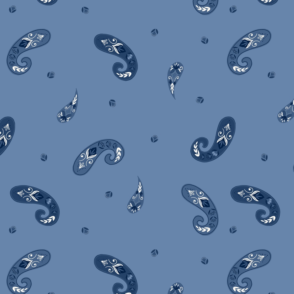 [T105-012-717] T105-012-717 / Paisley - Blue