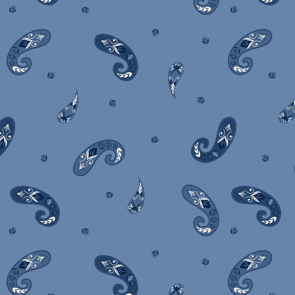 [T105-012-717] T105-012-717 / Paisley - Blue