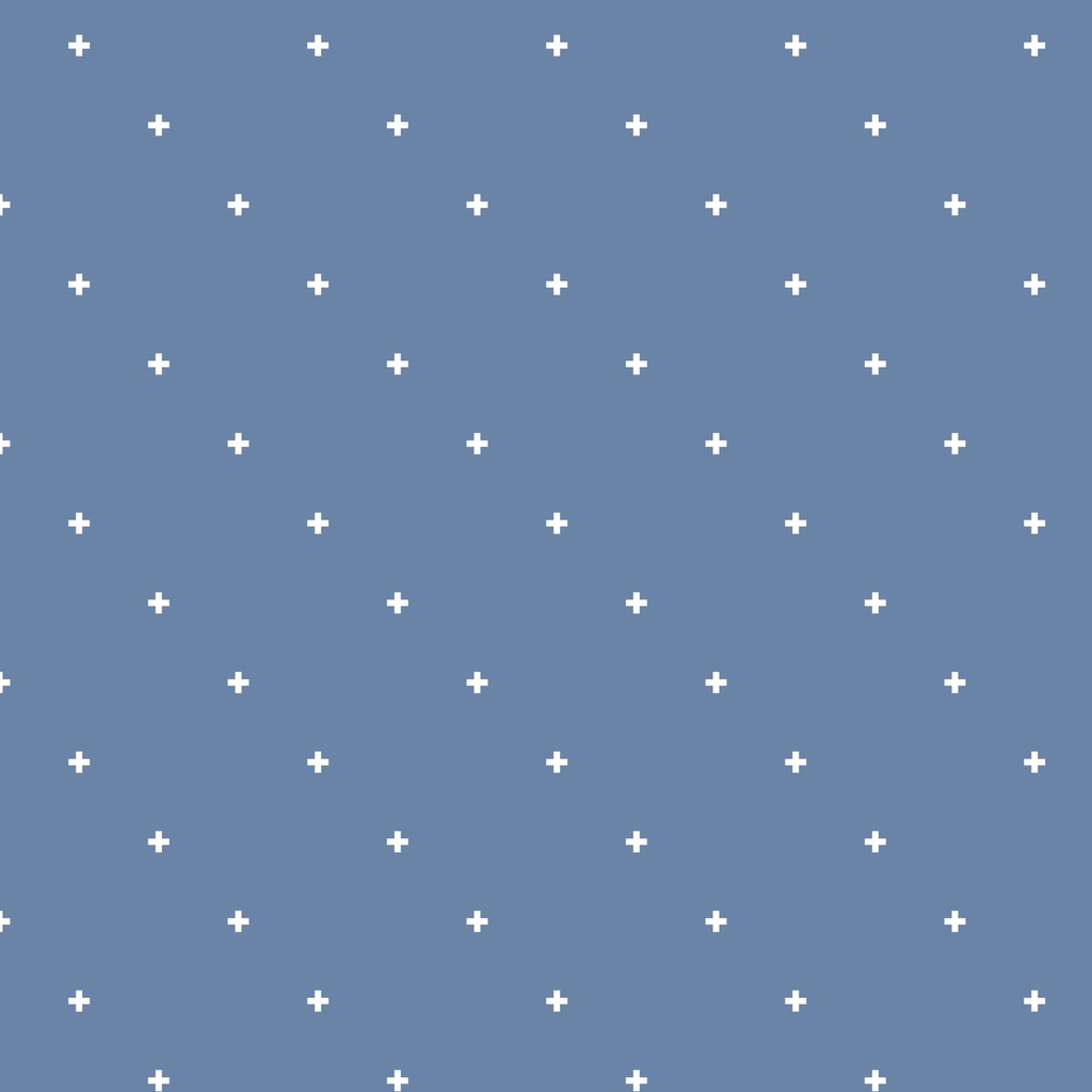 [TC145-001-761] TC145-001-761 / Additionally - Denim