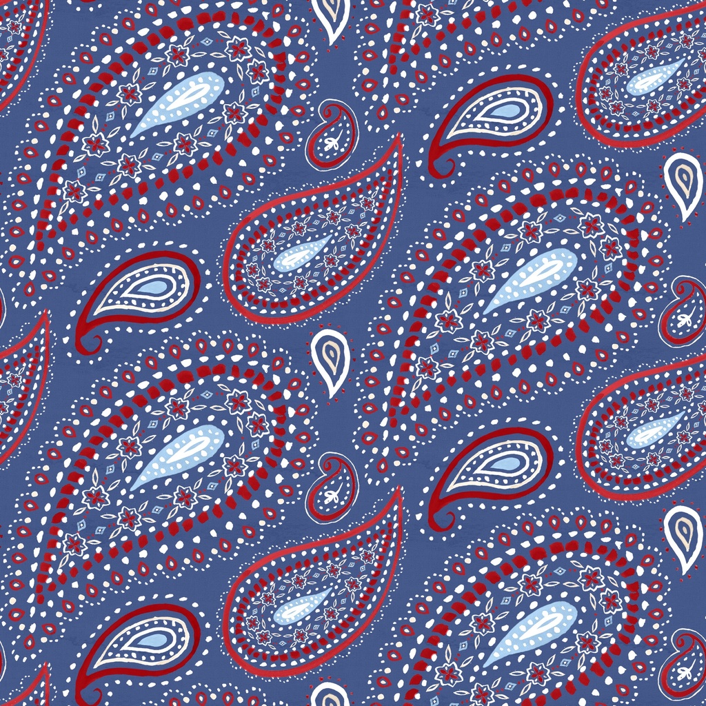 [W170-007-775] W170-007-775 / Big Paisley - Denim Multi