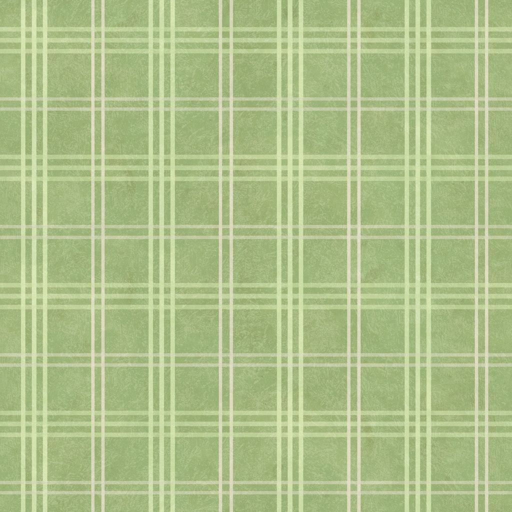 [W150-033-881] W150-033-881 / Plaid - Green