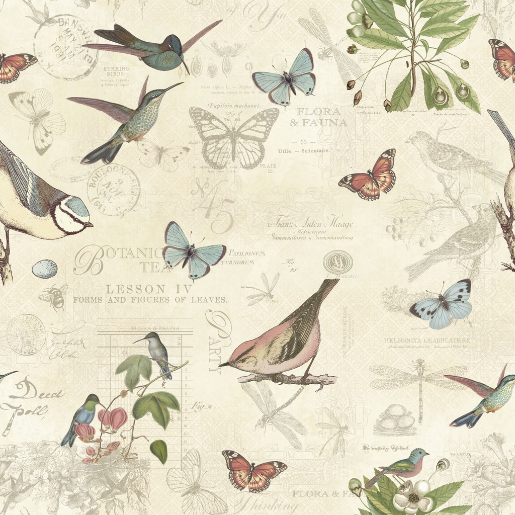 [W130-049-175] W130-049-175 / Hello Friend - Multi