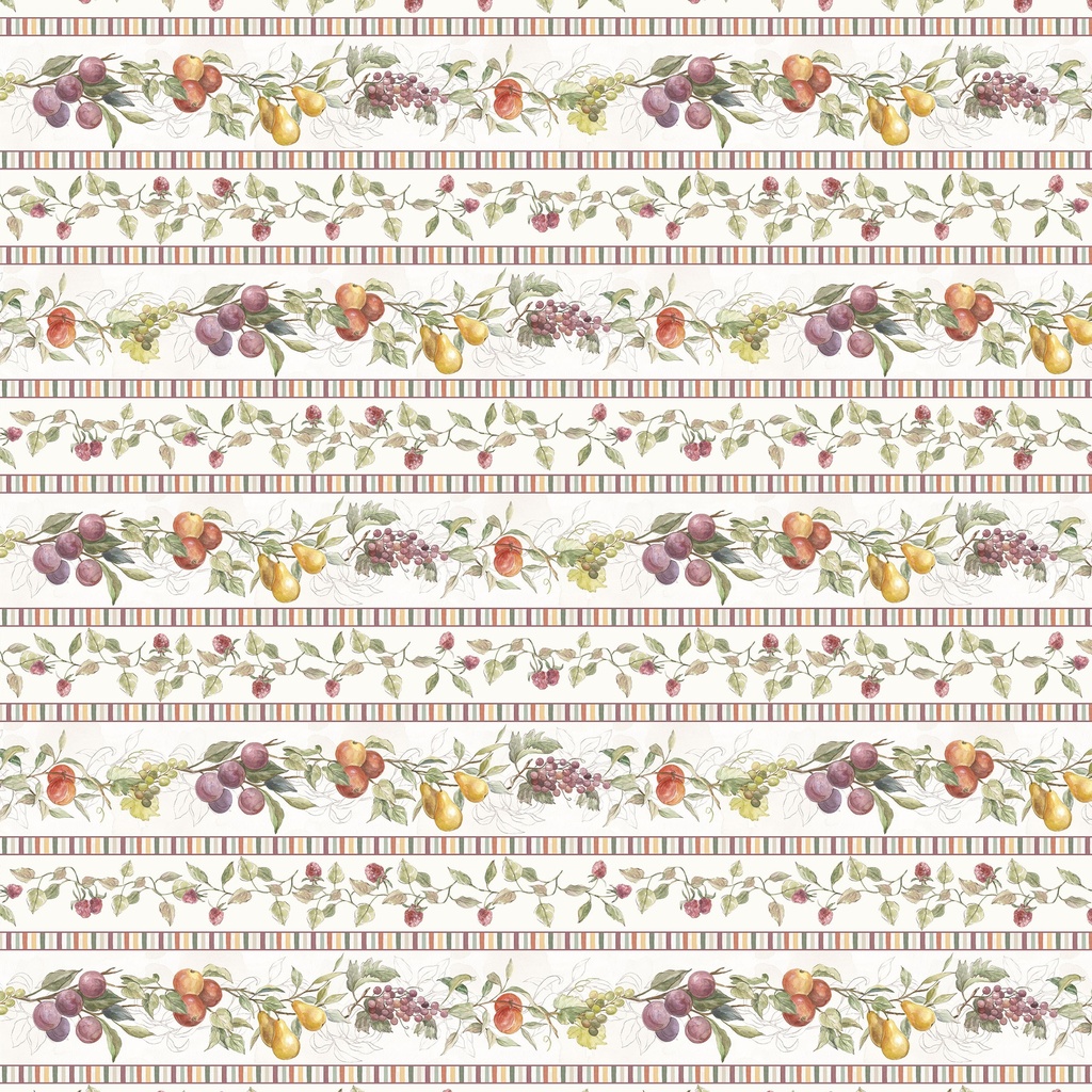 [W205-002-163] W205-002-163 / Border Stripe - Multi