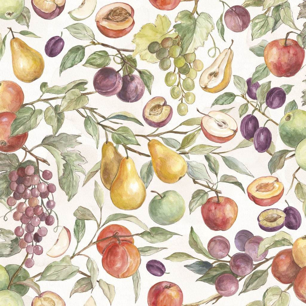 [W205-003-186] W205-003-186 / Packed Fruit - Multi
