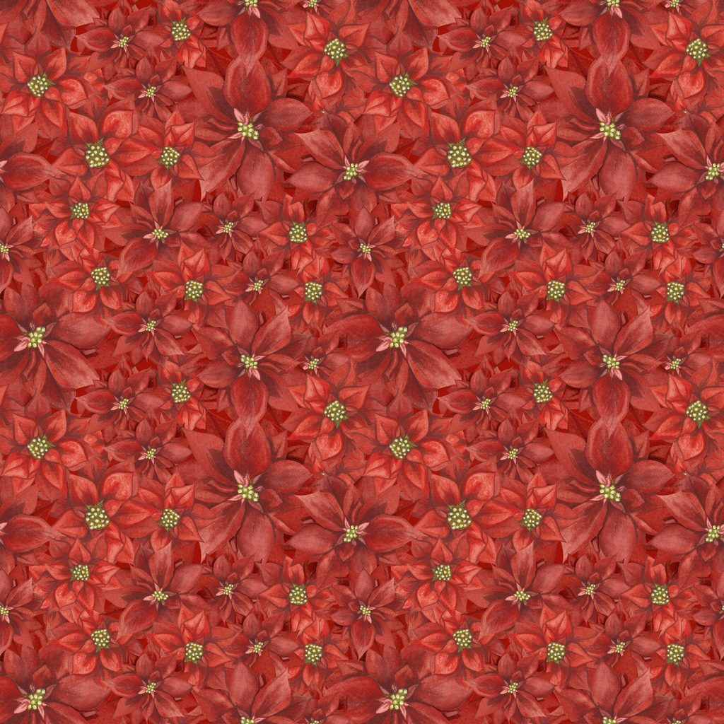 W100-049-553 / Packed Poinsettias - Red