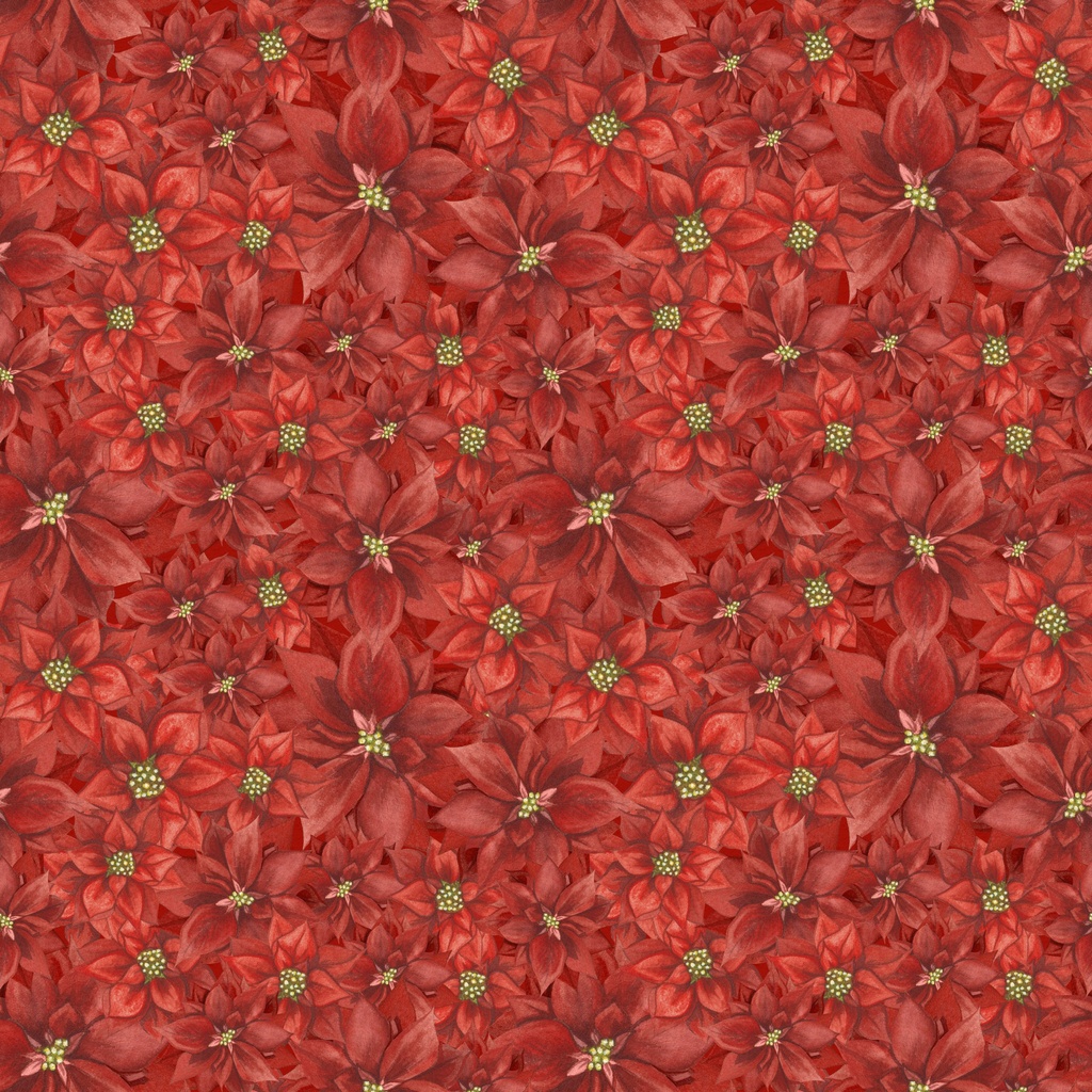 [W100-049-553] W100-049-553 / Packed Poinsettias - Red