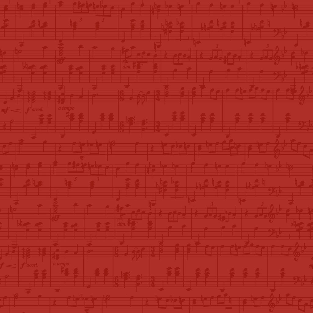 W100-053-555 / Notes - Red