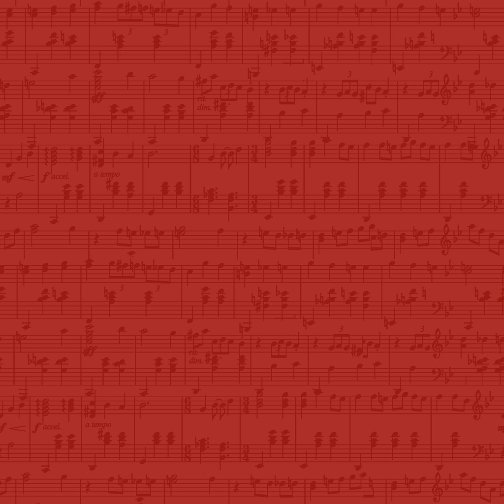 [W100-053-555] W100-053-555 / Notes - Red