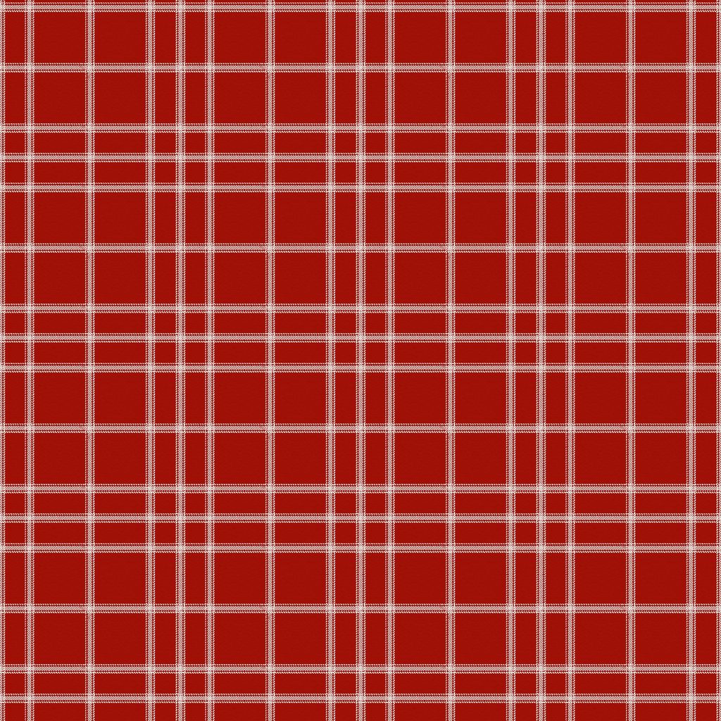 [W100-055-511] W100-055-511 / Plaid - Red
