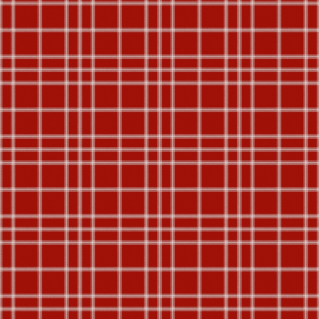 [W100-055-511] W100-055-511 / Plaid - Red