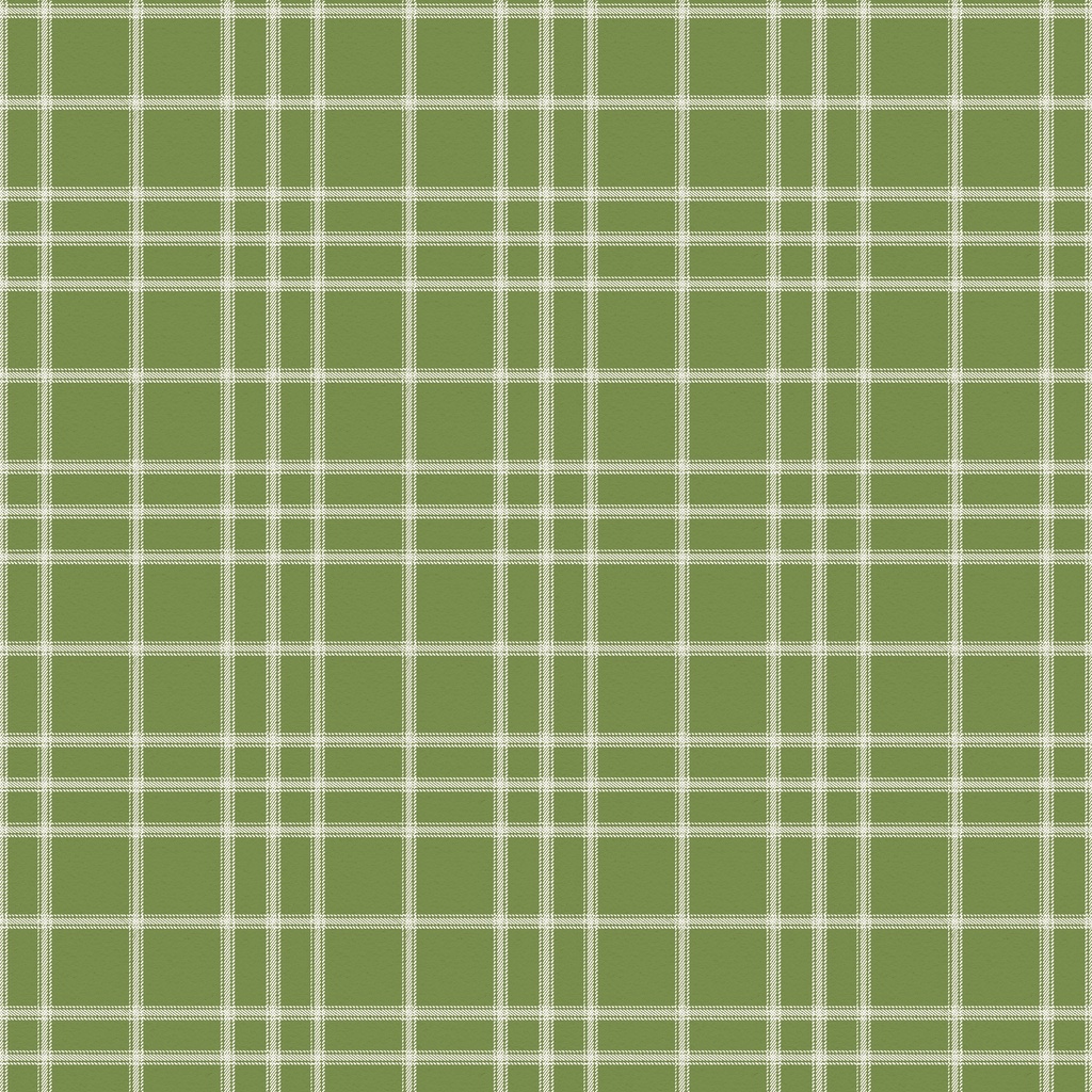 [W100-055-811] W100-055-811 / Plaid - Green