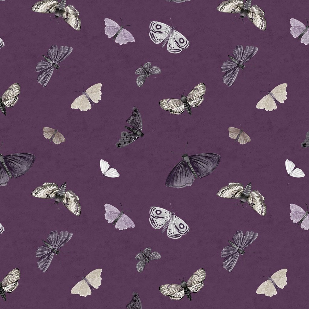 [W100-061-696] W100-061-696 / Moths - Dark Purple