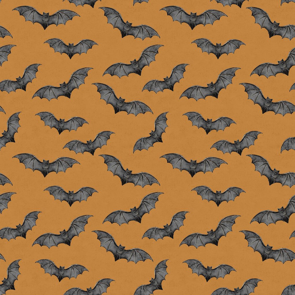 W100-062-499 / Bats - Orange