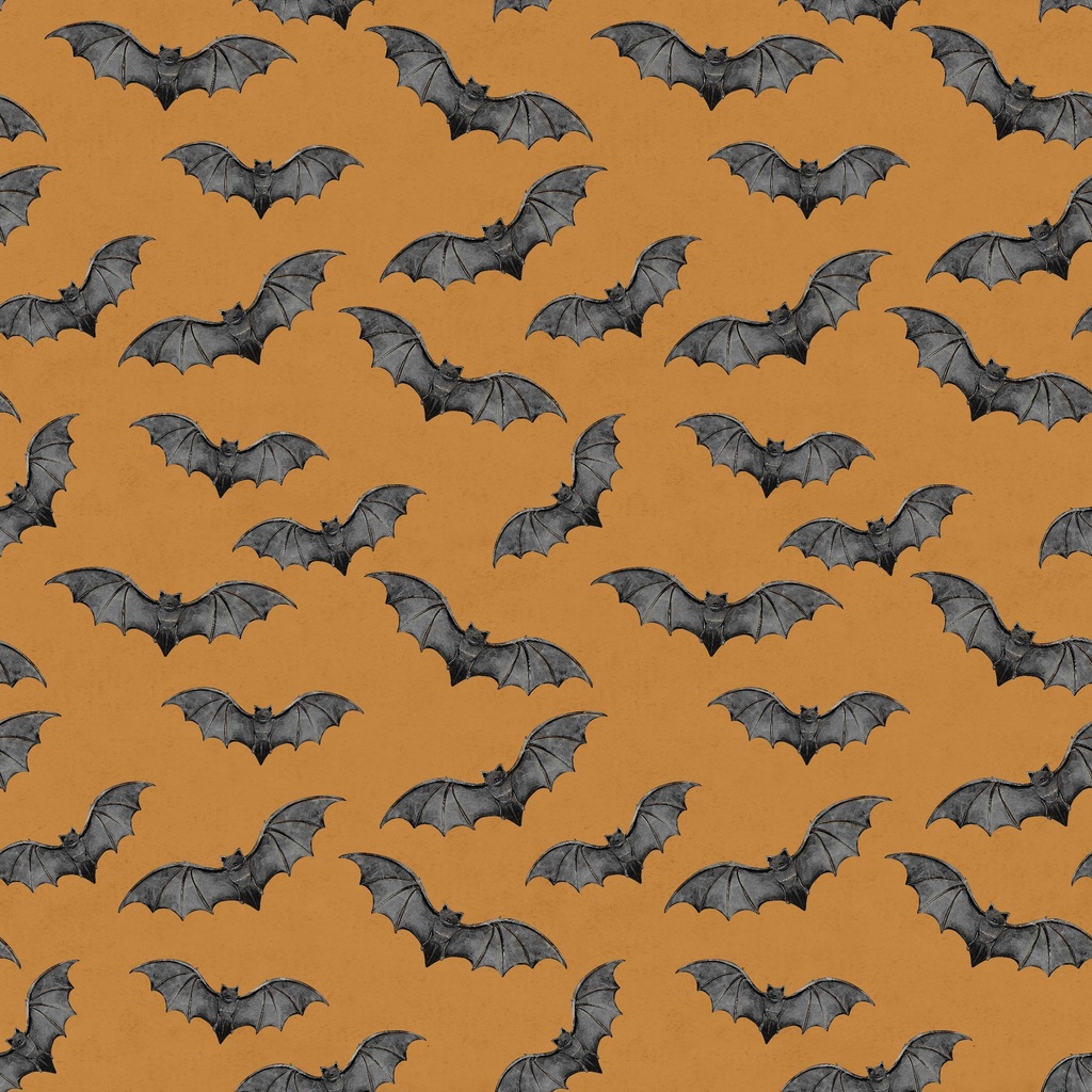 [W100-062-499] W100-062-499 / Bats - Orange