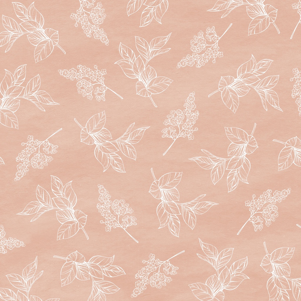 [W200-006-411] W200-006-411 / Sprig Toile - Peach