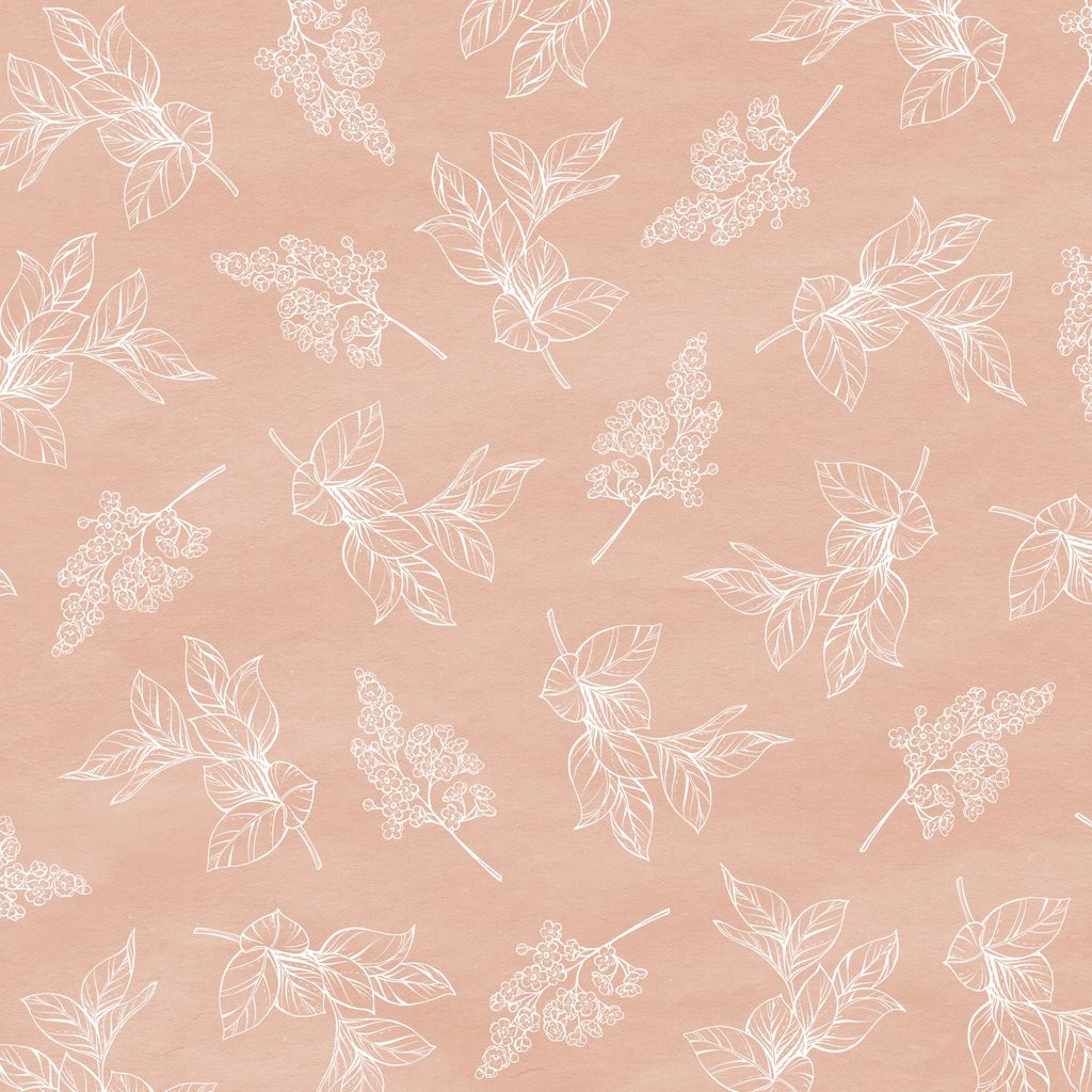 W200-006-411 / Sprig Toile - Peach