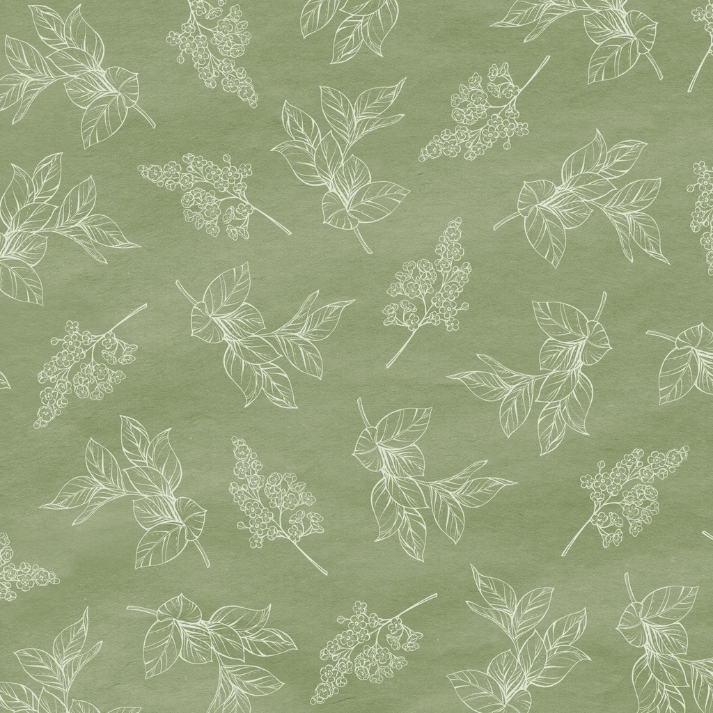 [W200-006-811] W200-006-811 / Sprig Toile - Green