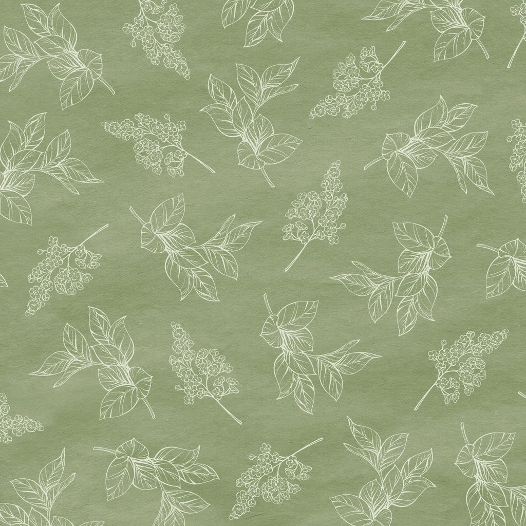 W200-006-811 / Sprig Toile - Green