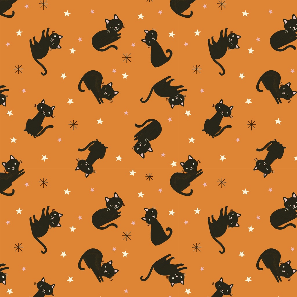 [T150-004-495] T150-004-495 / Cats - Orange