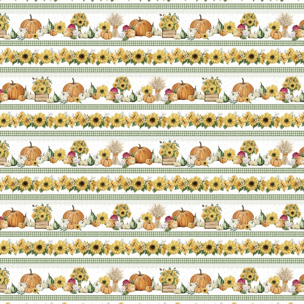 W195-015-134 / Bright Harvest Border Stripe - Multi