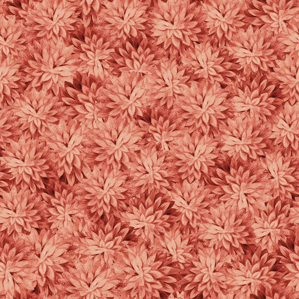 W195-019-555 / Packed Mums - Red