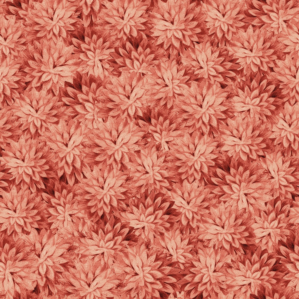 [W195-019-555] W195-019-555 / Packed Mums - Red
