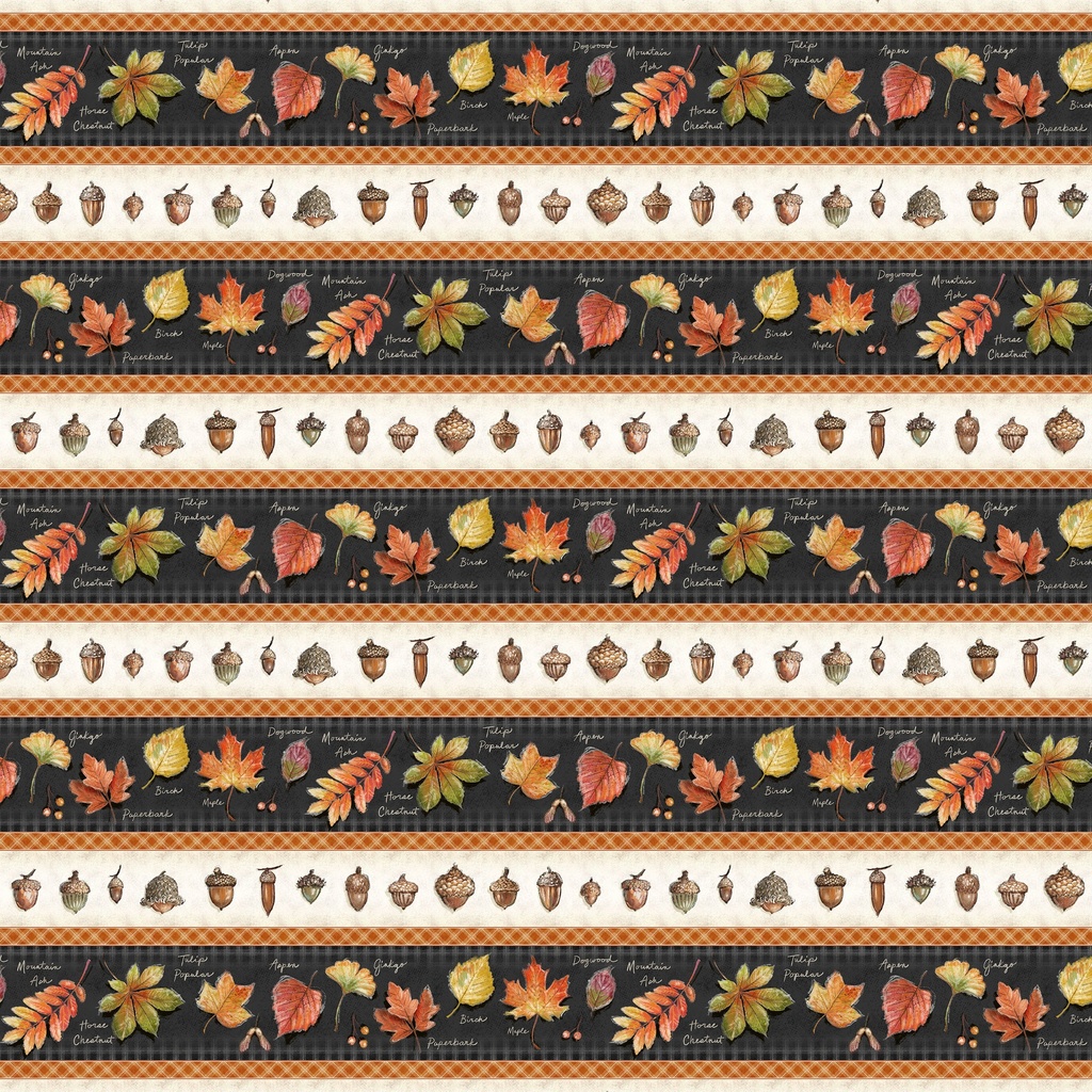 [W115-038-914] W115-038-914 / Toasted Chestnut Border Stripe - Multi