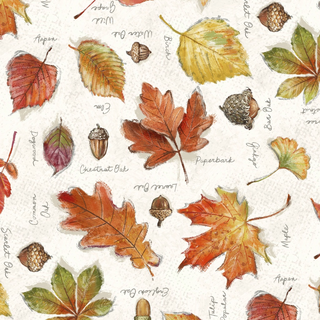 [W115-041-145] W115-041-145 / Fall Journal - Cream