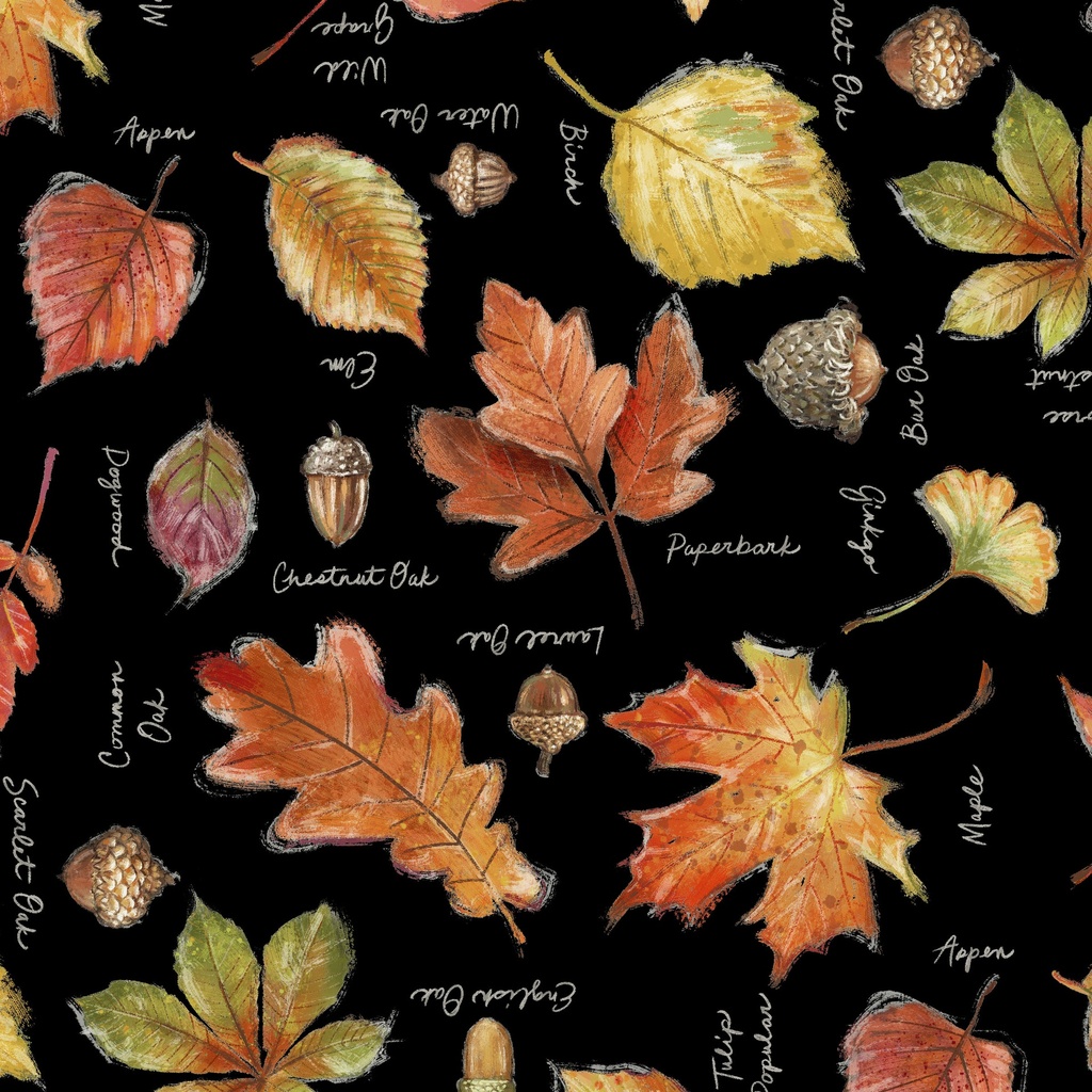 [W115-041-945] W115-041-945 / Fall Journal - Black