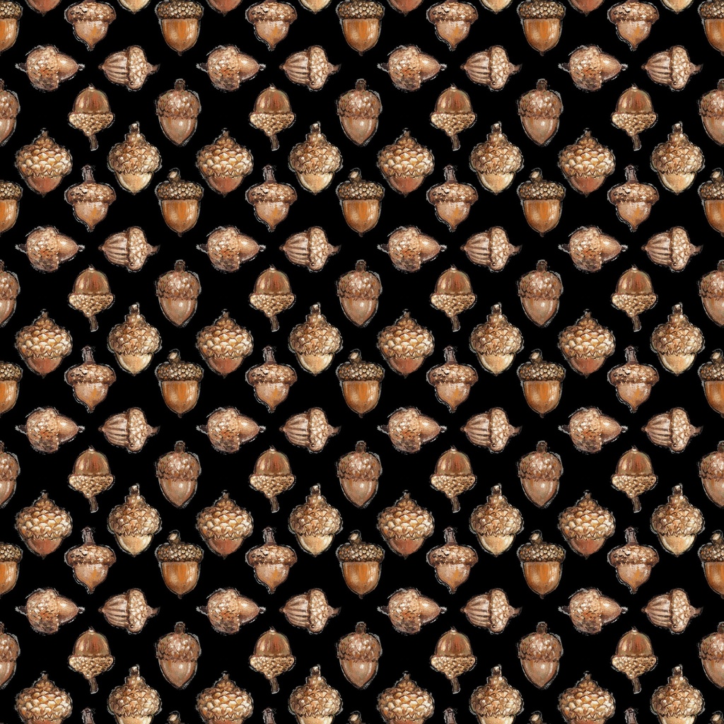 [W115-044-924] W115-044-924 / Acorns - Black