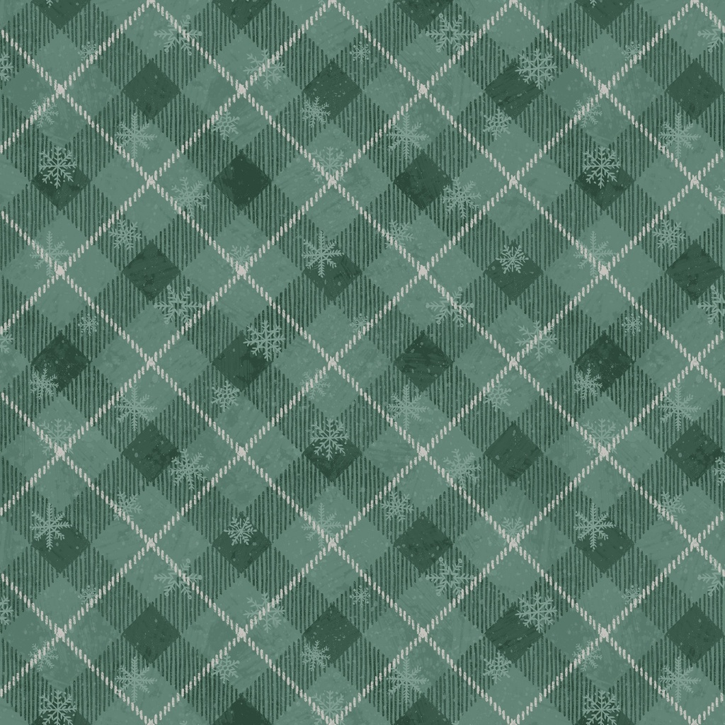 [T140-006-717] T140-006-717 / Plaid - Teal