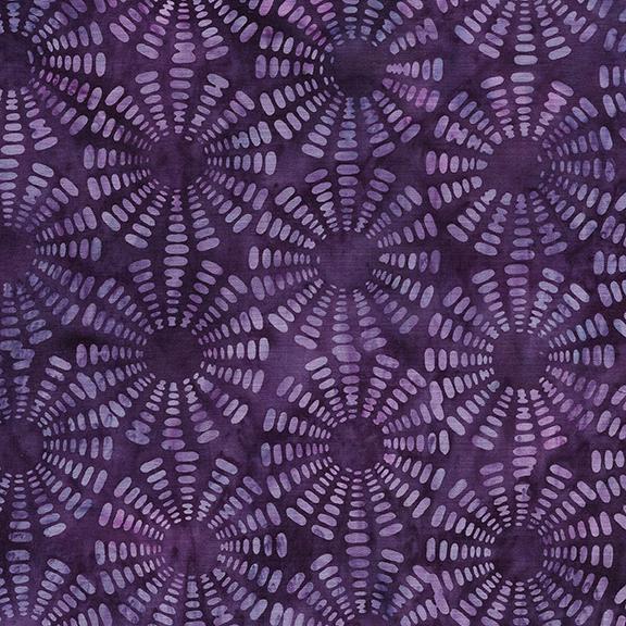 122318460 / Sonic-Purple Hyacinth
