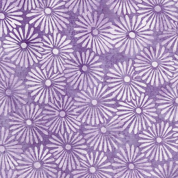 122421405 / Daisy-Purple Lavender