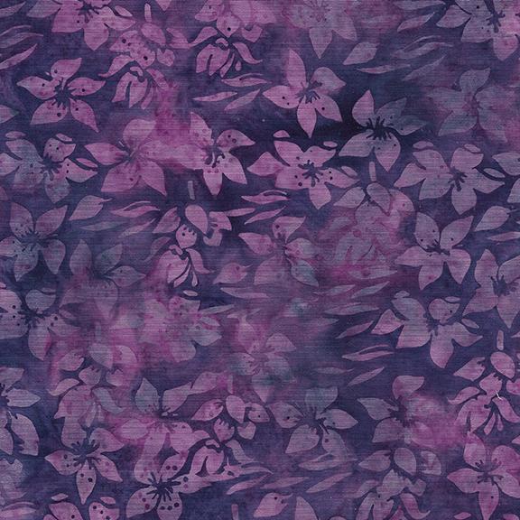 122422455 / Helleborus-Purple Pansy