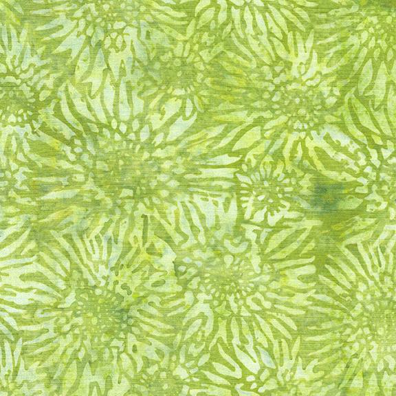 122423635 / Gerbera Daisy-Green Sprout