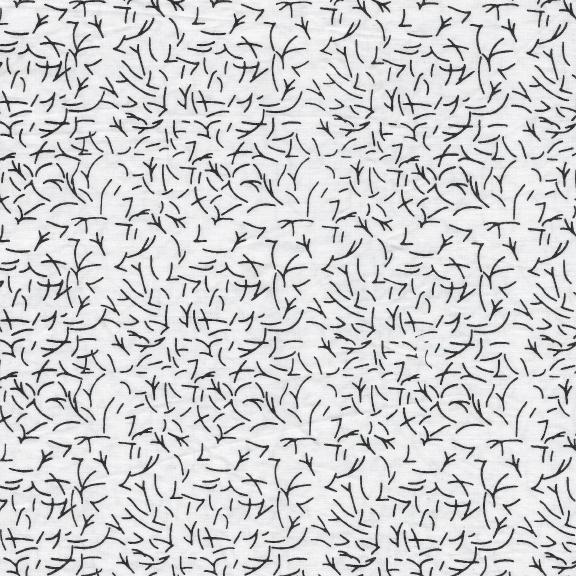 711903700 / Dash-White and Black