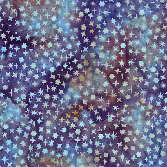 Assorted Stars Purple Urchin