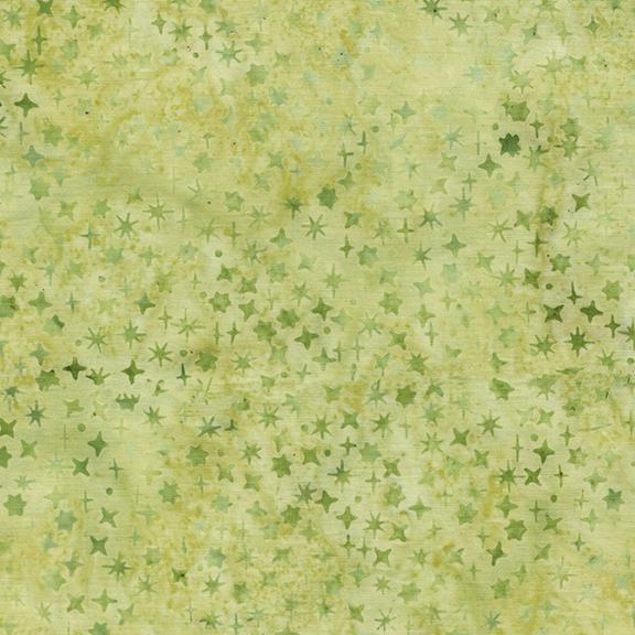 Assorted Stars Green Seedling