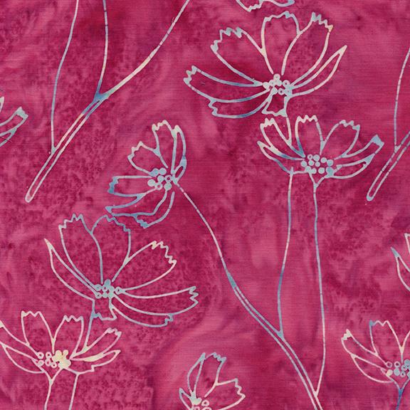 Cosmos Pink Raspberry