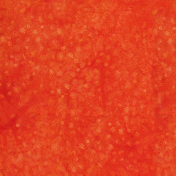 Seeds Orange Pumpkin