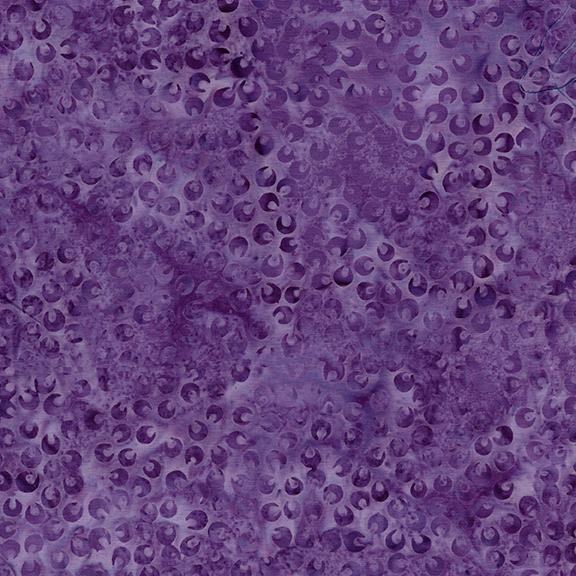 122523420 / Small Petals Purple Urchin
