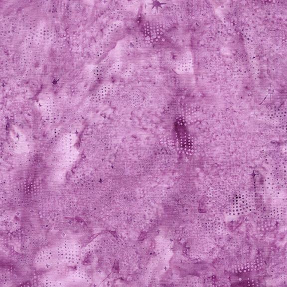 122566120 / Night Sky Pink Petunia