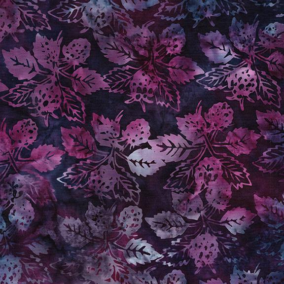Raspberries-Multi Purple Pink Iris