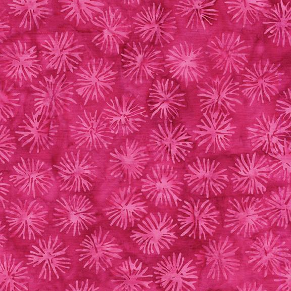 Dandelion-Pink Raspberry