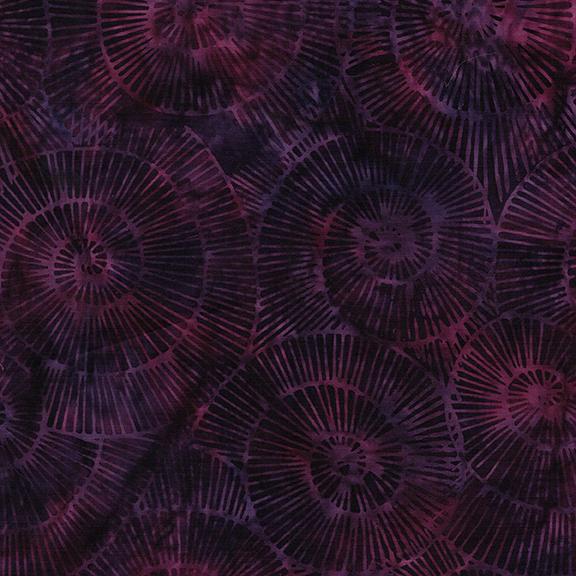 Fossil Spiral-Purple Blackberry