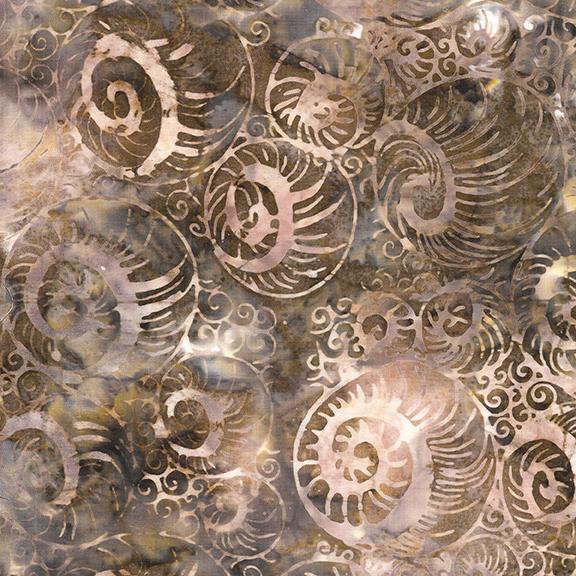 Abstract Nautilus-Brown Toast