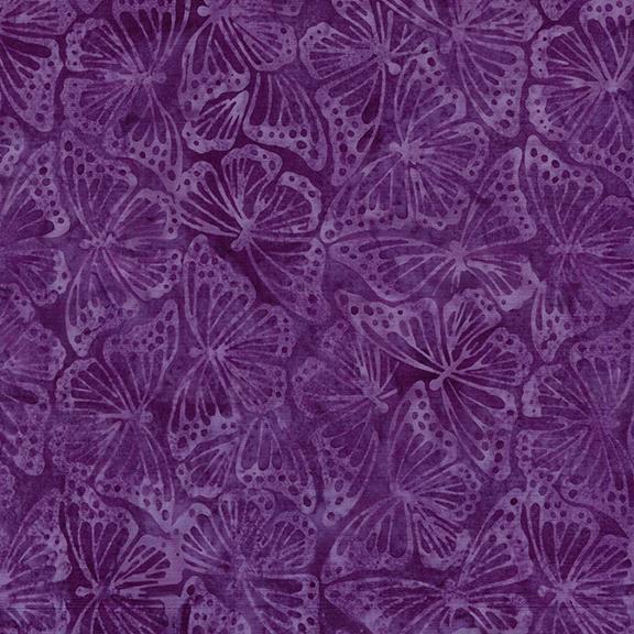 112506430 / Monarch-Purple Jelly