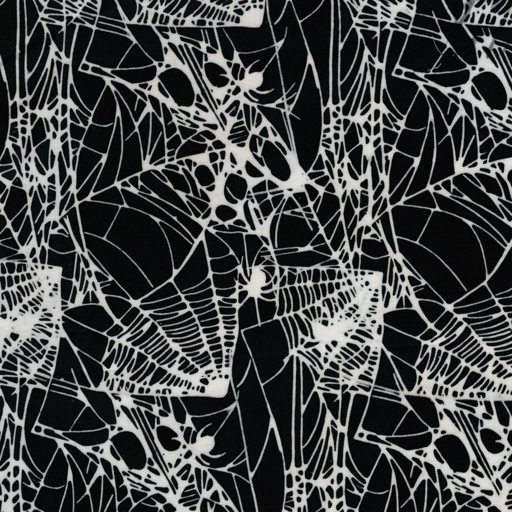 122551707 / Spiders and Webs Black